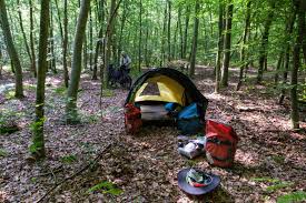 Wild Camp Forêt 6