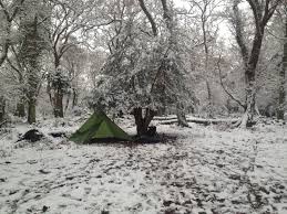 Wild Camp Forêt winter 2_1