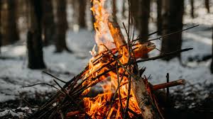 Wild Camp Forêt winter 4_1